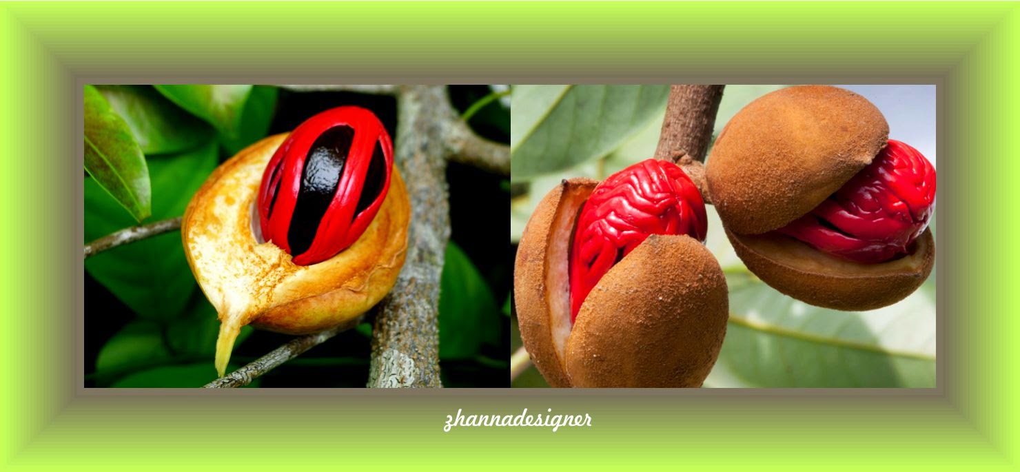 be healthypage Nutmeg