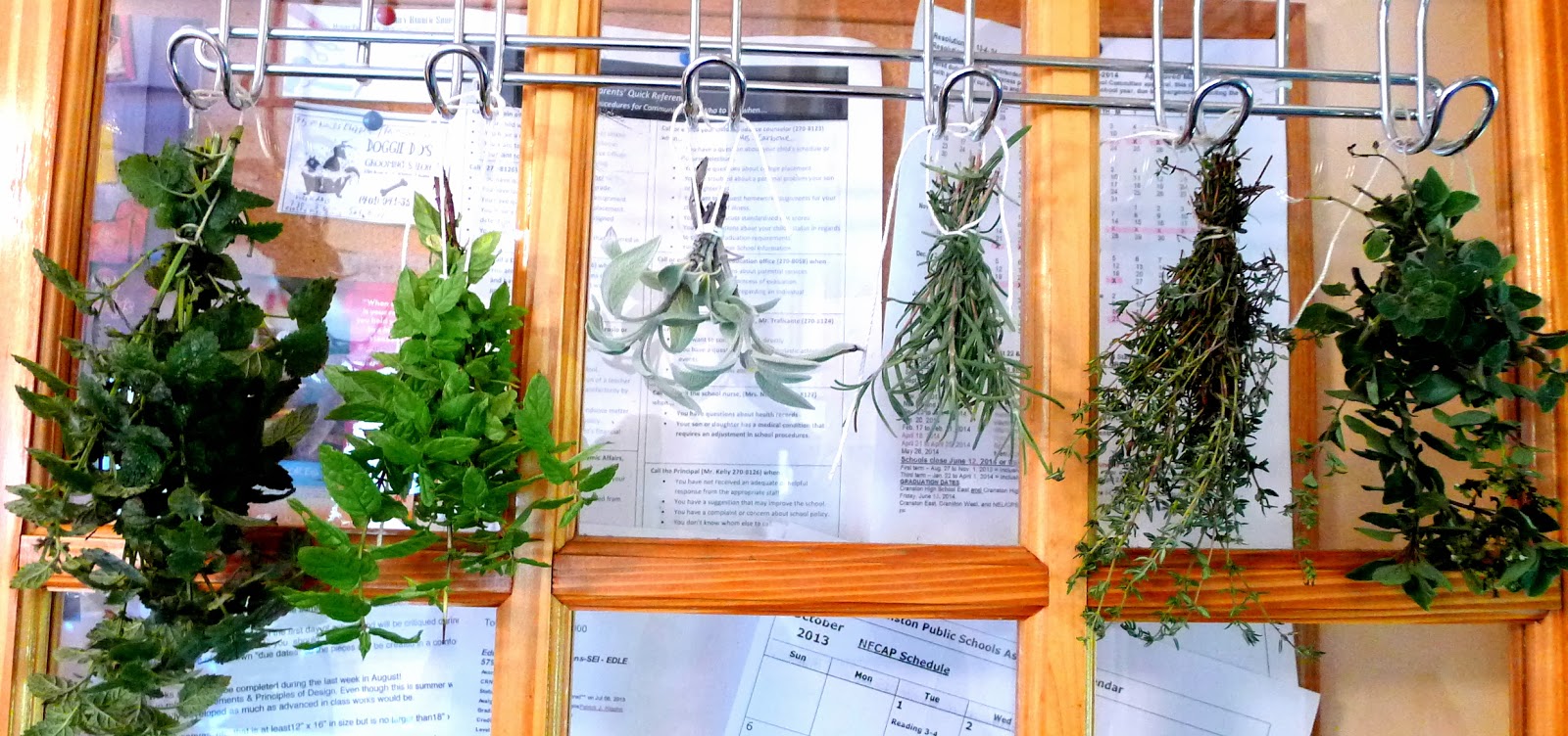 Less Noise, More Green What to do with herbs over winter