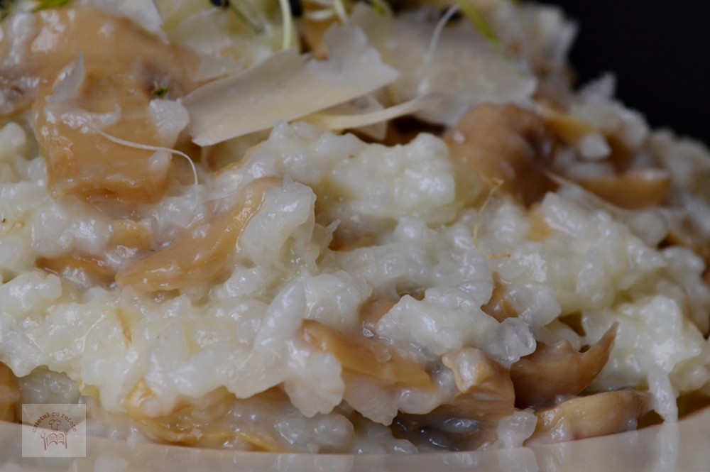 Risotto cu ciuperci la slow cooker CAIETUL CU RETETE