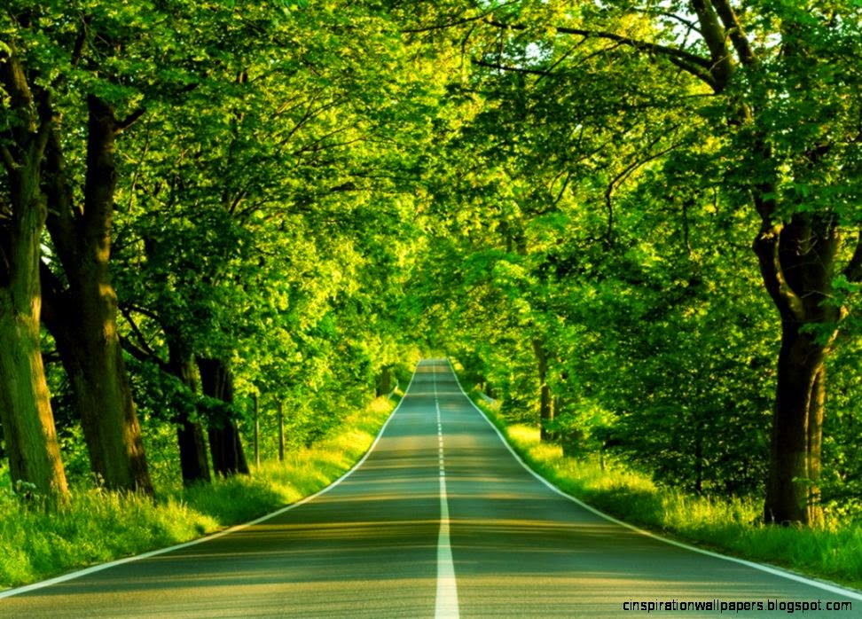 Awesome Nature Desktop Wallpapers Awesome Nature Desktop Wallpapers