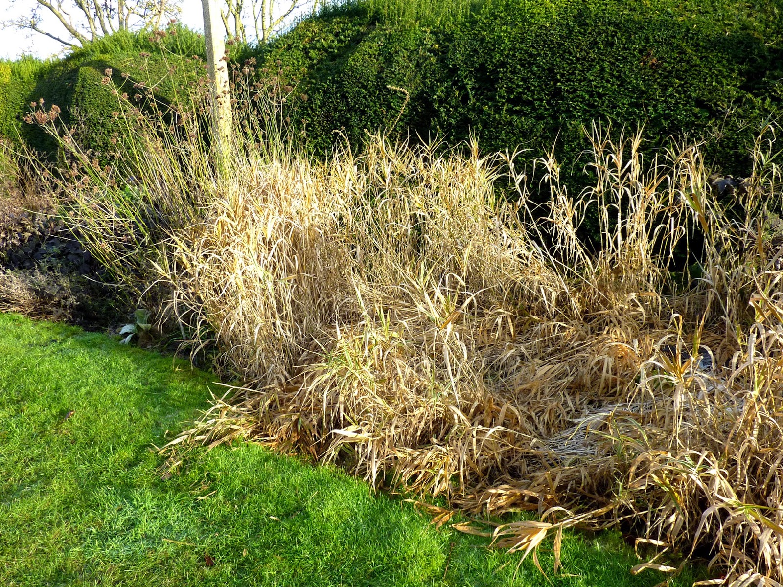 MIXED MEDIA Stitch Retreat