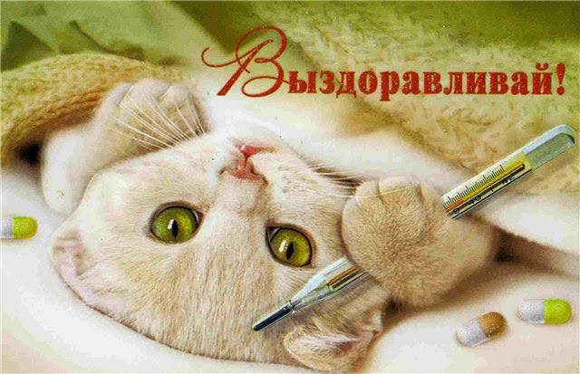 Медовик с манным кремом рецепт с пошагово