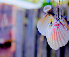 October – the 10th month What.To.Do.With.Daylight: July 2011