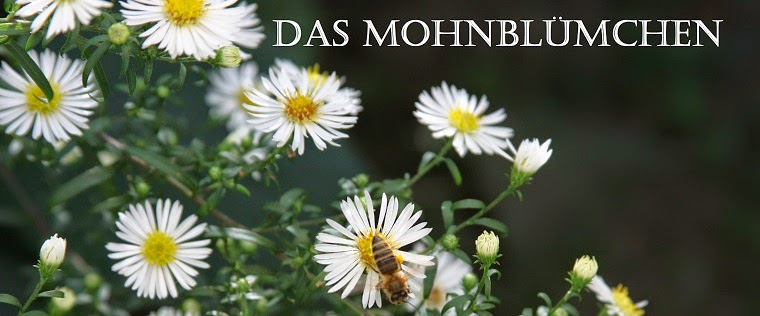 Das Mohnblümchen