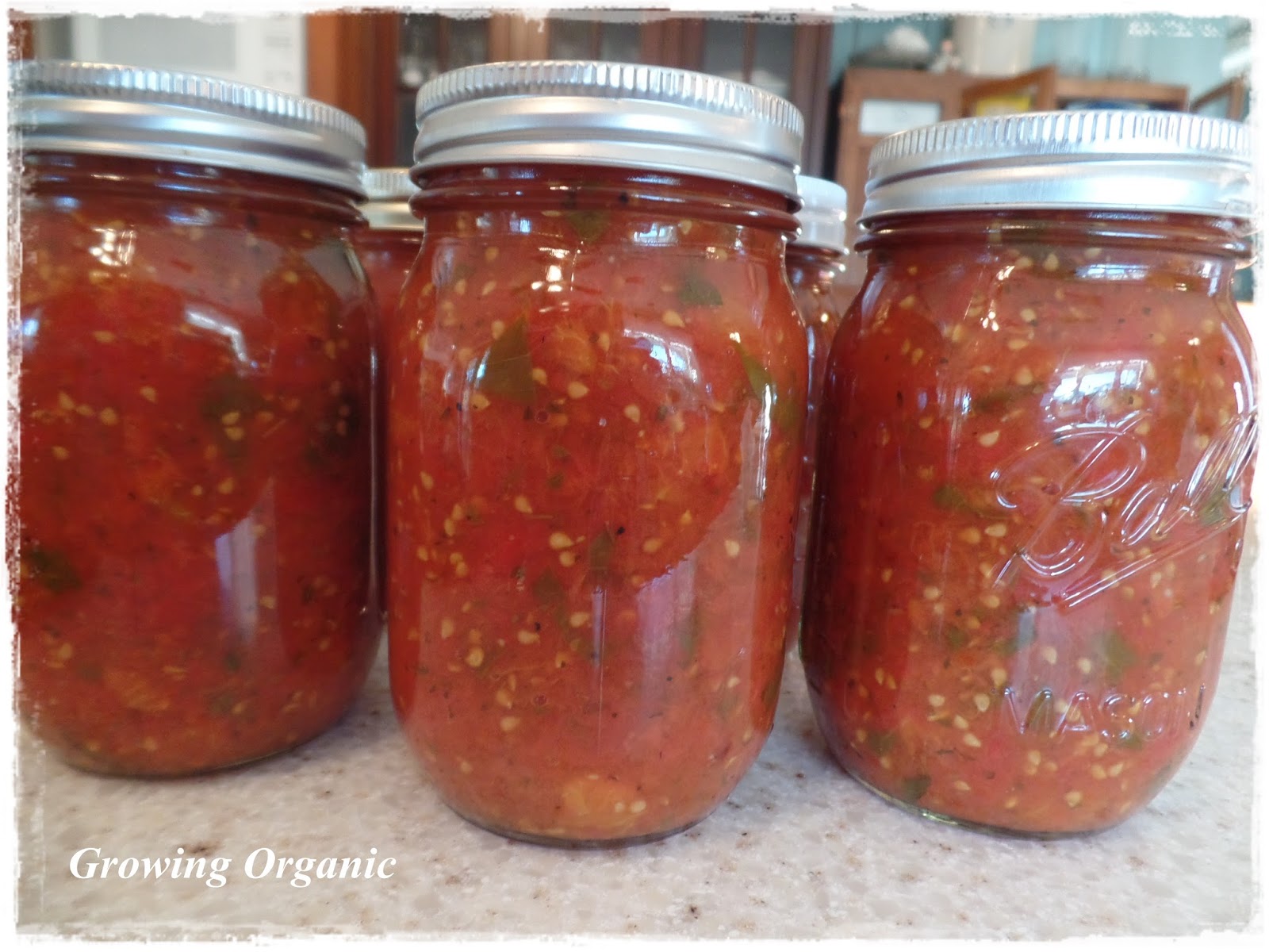Growing Organic The Best Tomato Sauce!