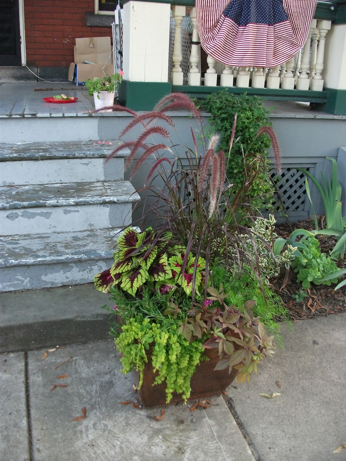Reposhture Studio: Container Garden Ideas and a What will it be Wednesday?