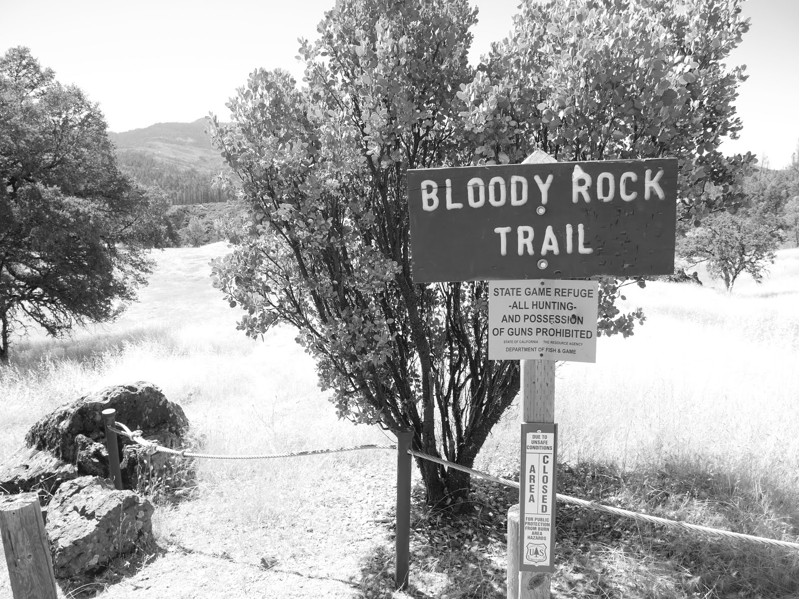 Venturing to Bloody Rock