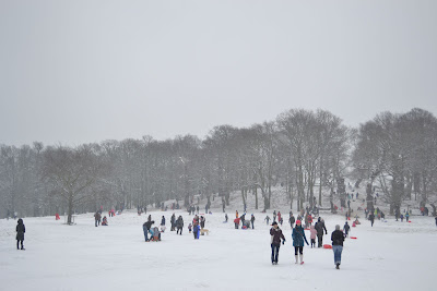 richmond park in the snow