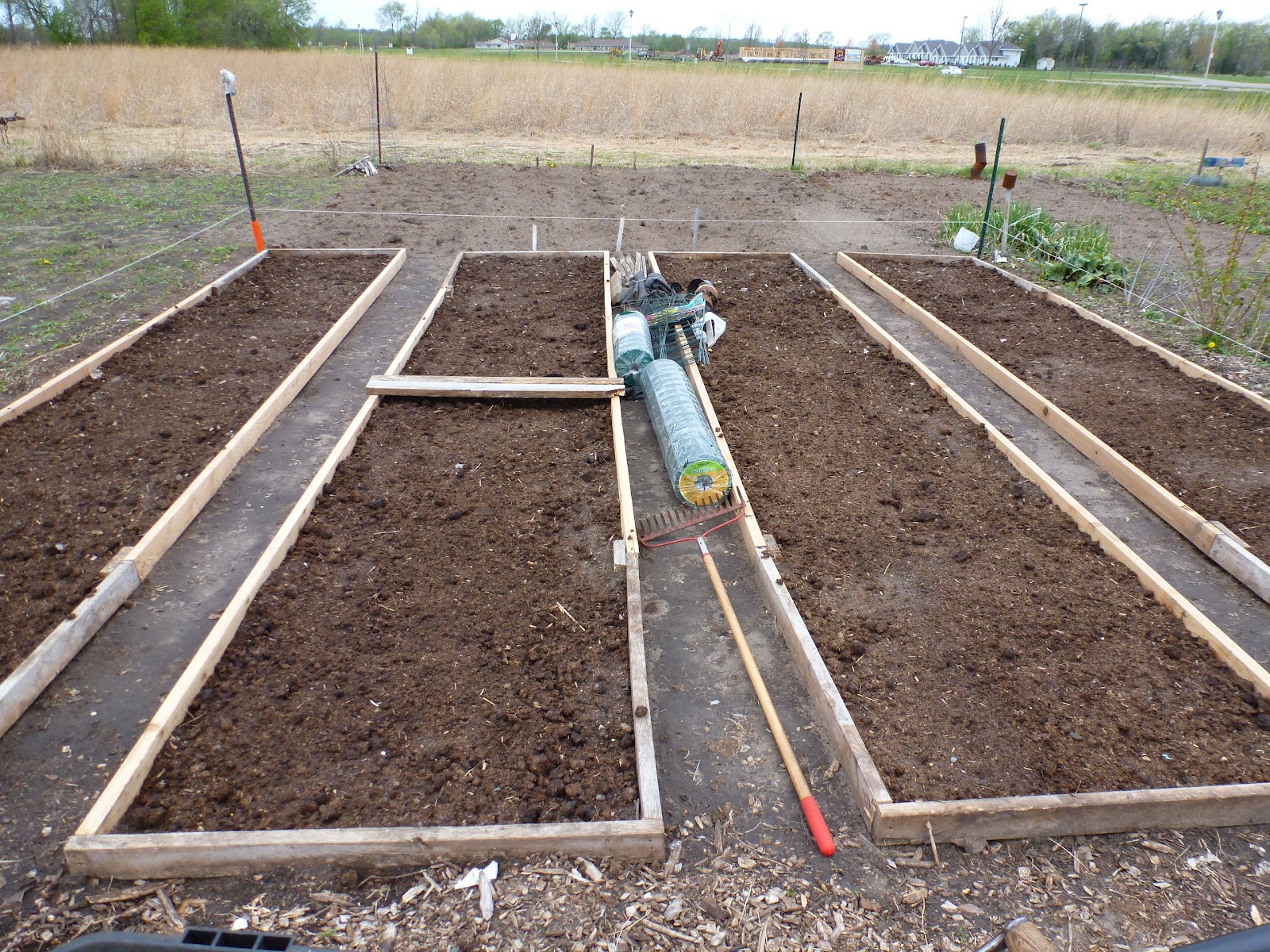 Anita's Health Blog Garden Plot