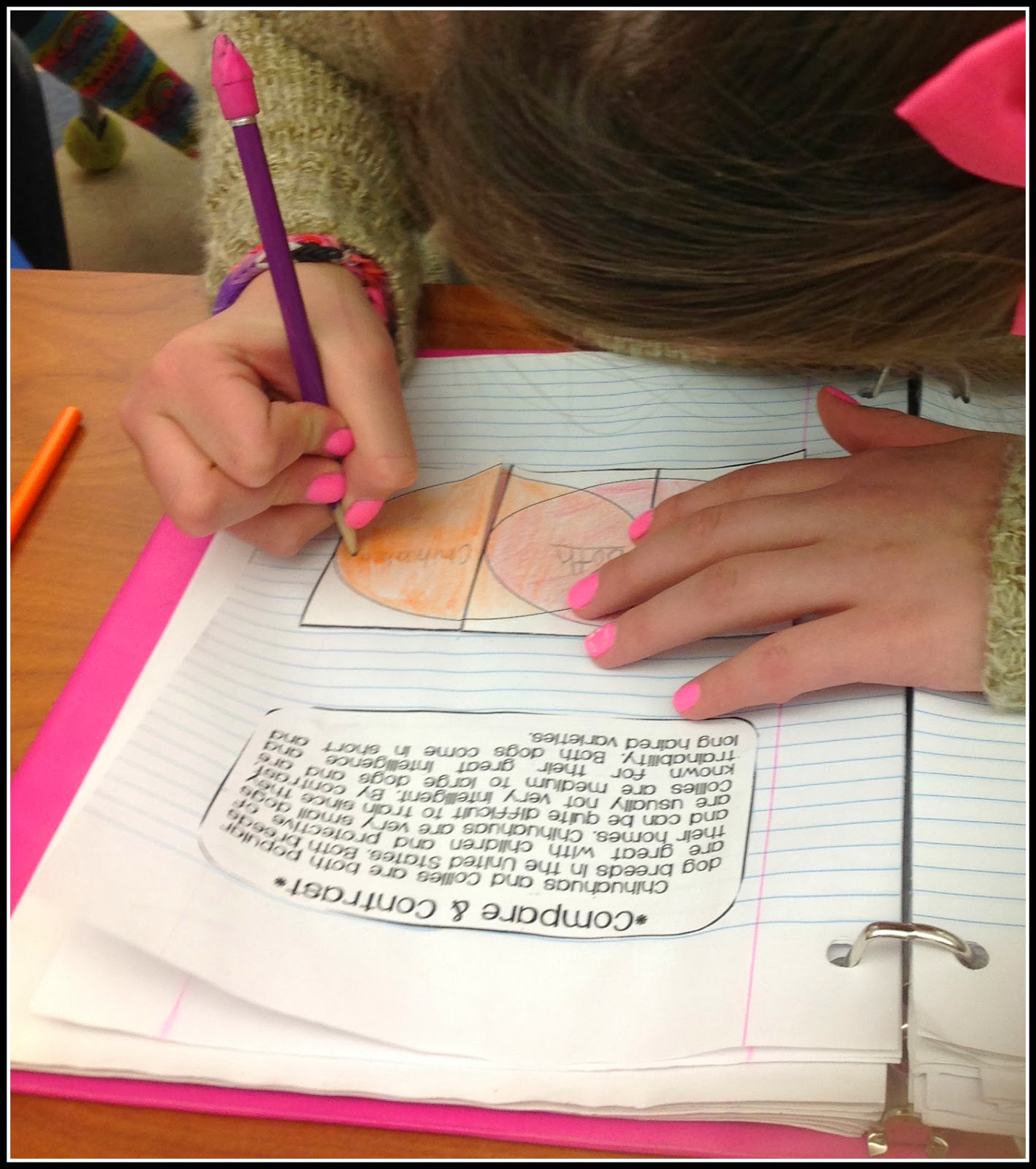 worksheet Ereading Worksheets Main Idea ereading worksheets main idea free library download idea