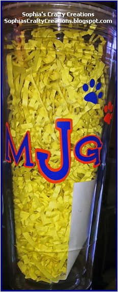 Auburn Tumbler
