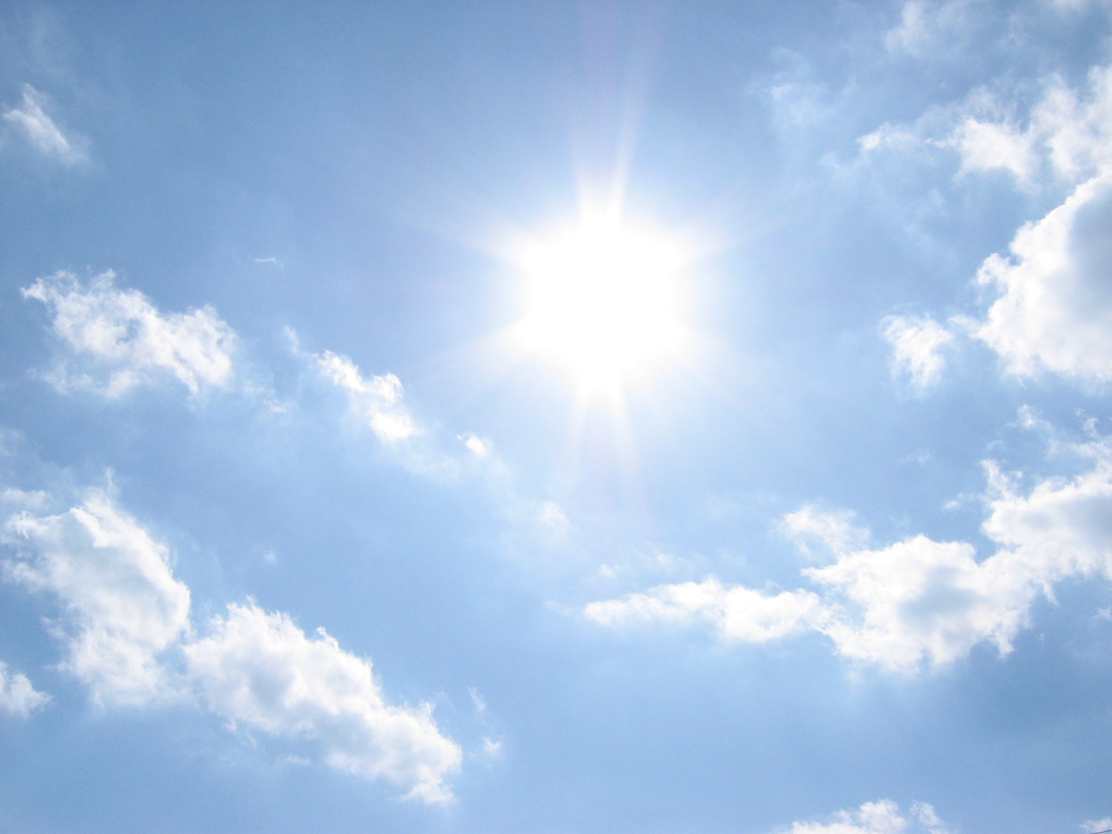 Blog Archives reptracker