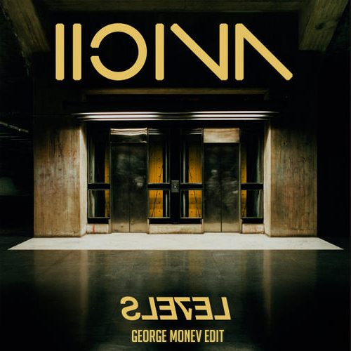 Avicii Levels asservice