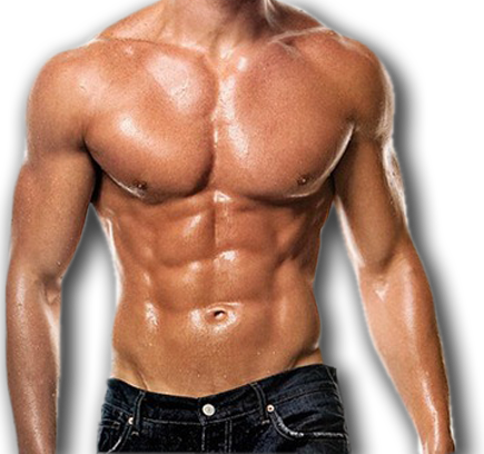 Six Pack Abs Transparent Png Image - vrogue.co