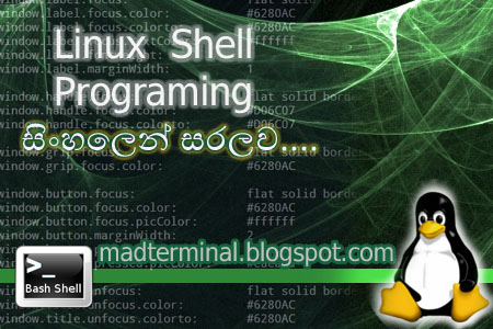 ලිනක්ස් Shell Programming පාඩම-කොටස 16 ~ Mad Terminal