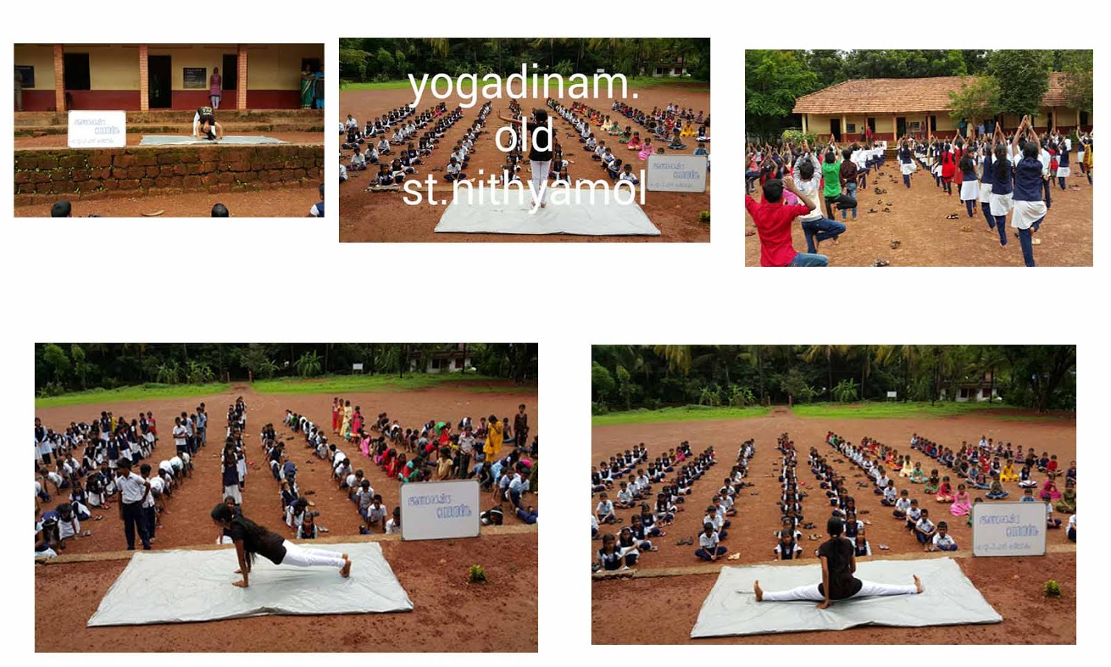 Yogadinam 2016-17