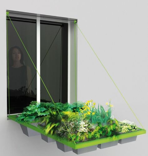 Imágenes de Jardines Colgantes : Jardín y Terrazas