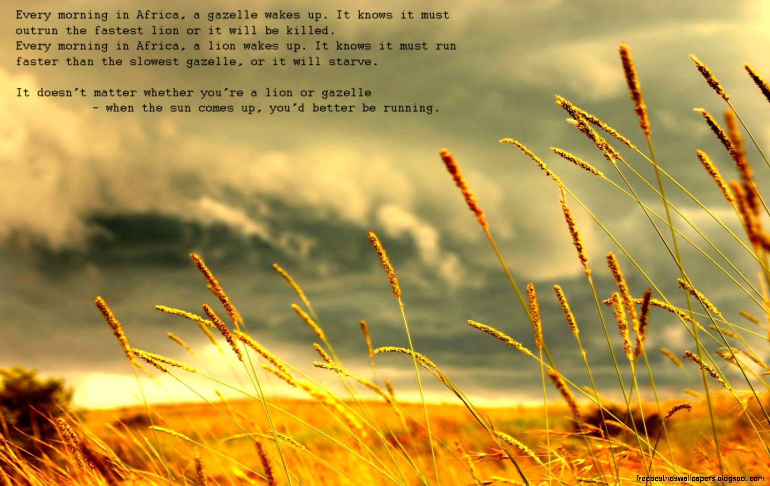 Inspirational Motivational Desktop Background Wallpaper Inspirational Motivational Desktop Background Wallpaper