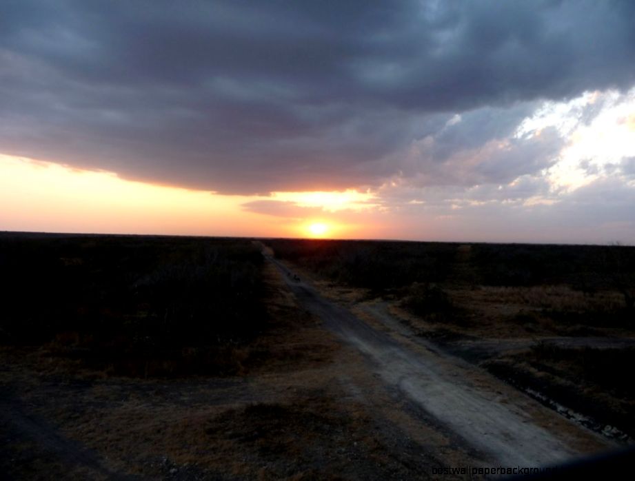 Steve Austin Broken Skull Steve Austin Broken Skull