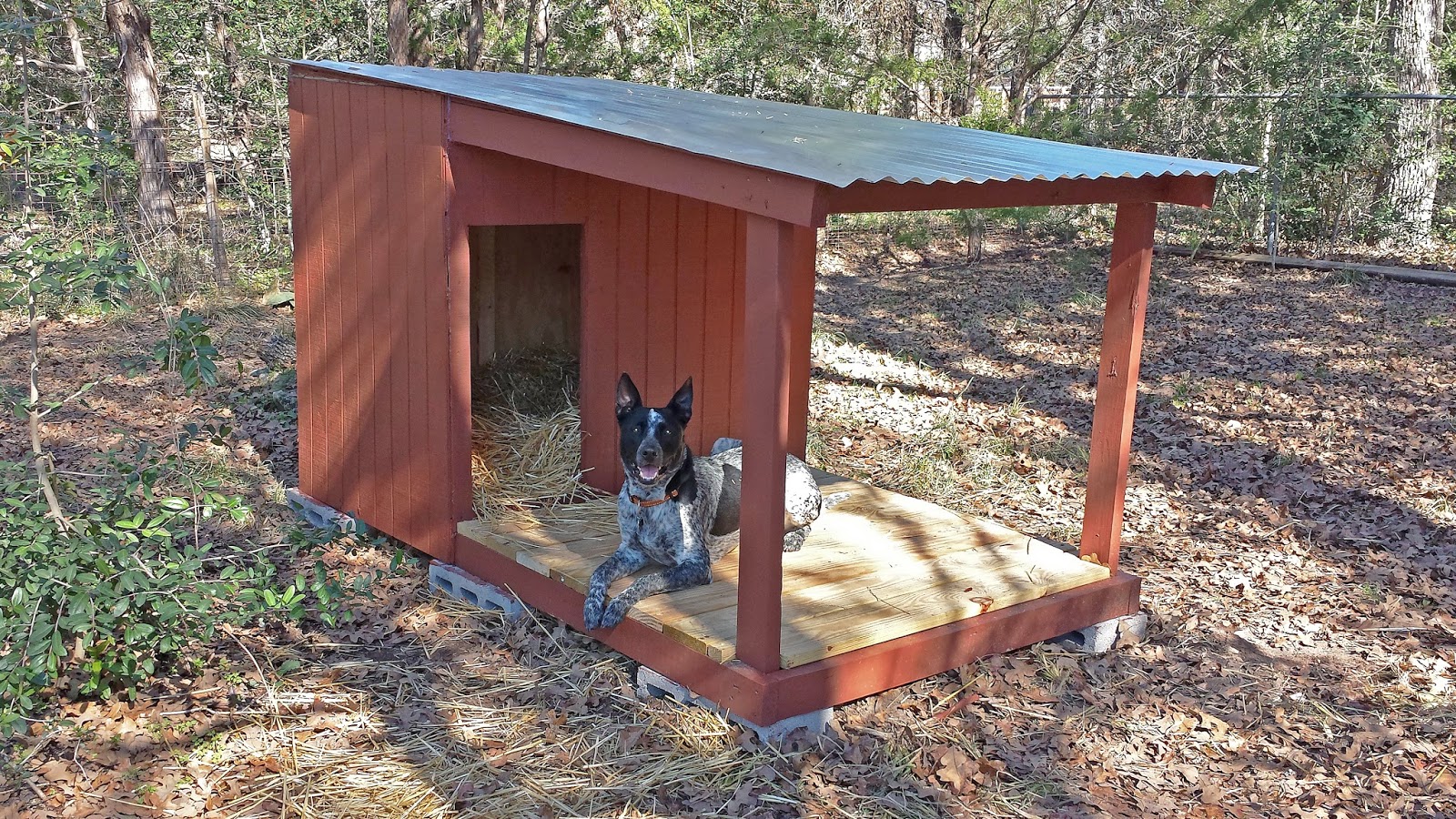 DIY Attempt Country Dog House with Porch