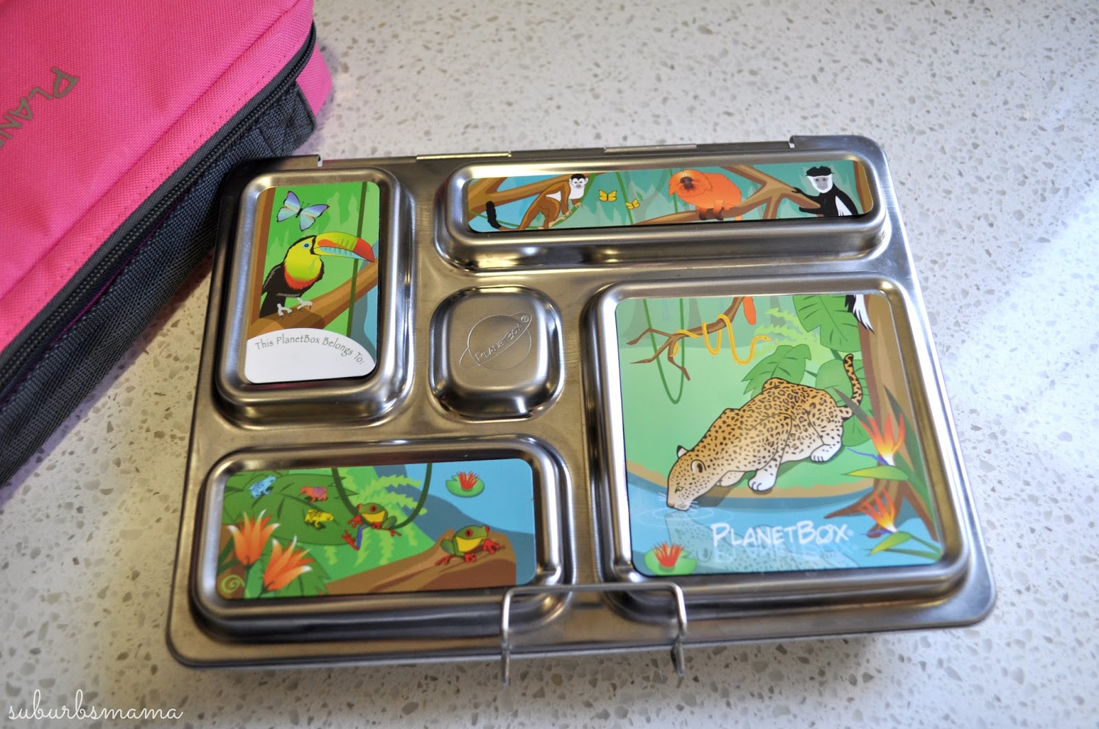 Suburbs Mama: Packing School Lunches -Planet Box Rover Review