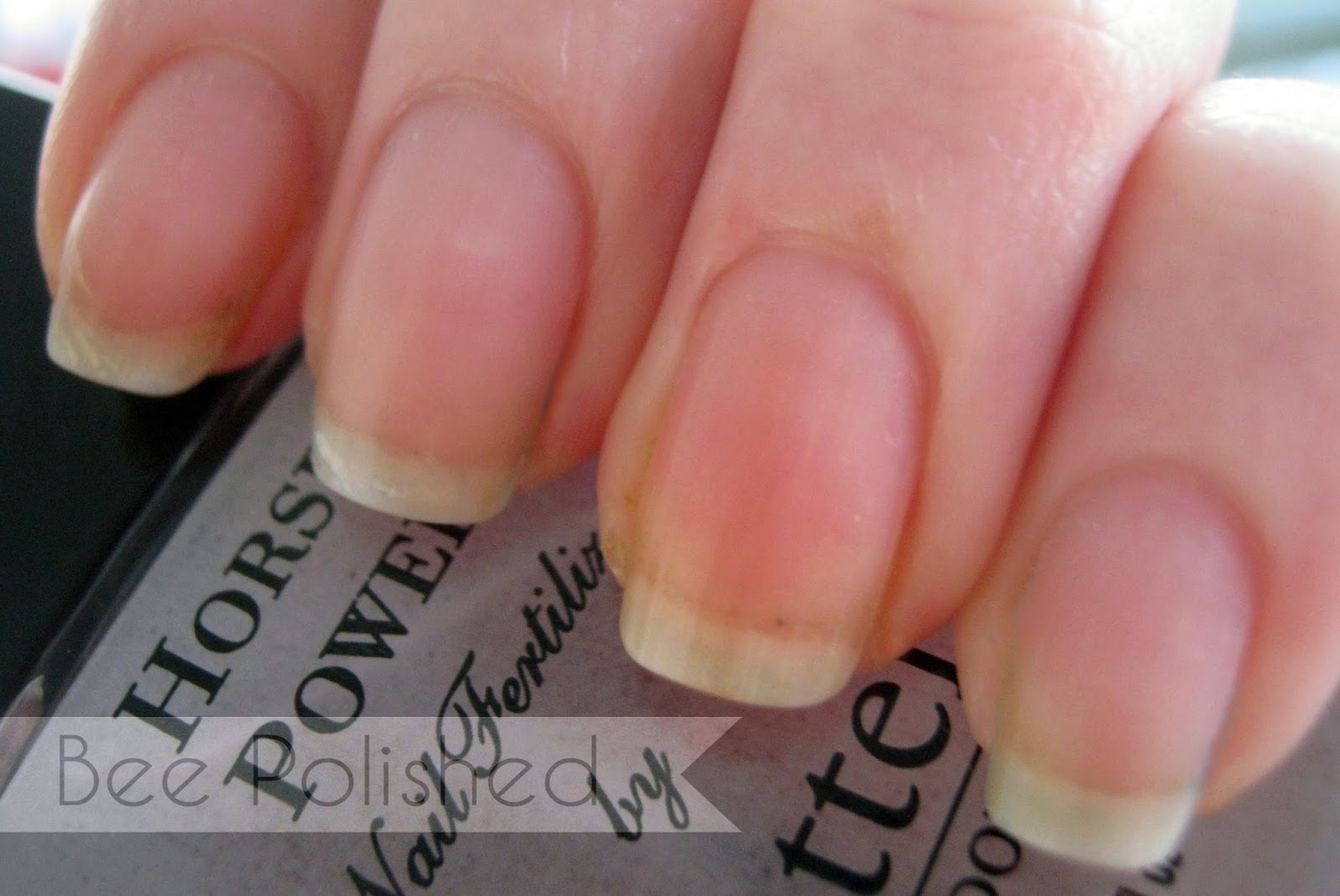 Horse Power Nail Compare Bee Polished