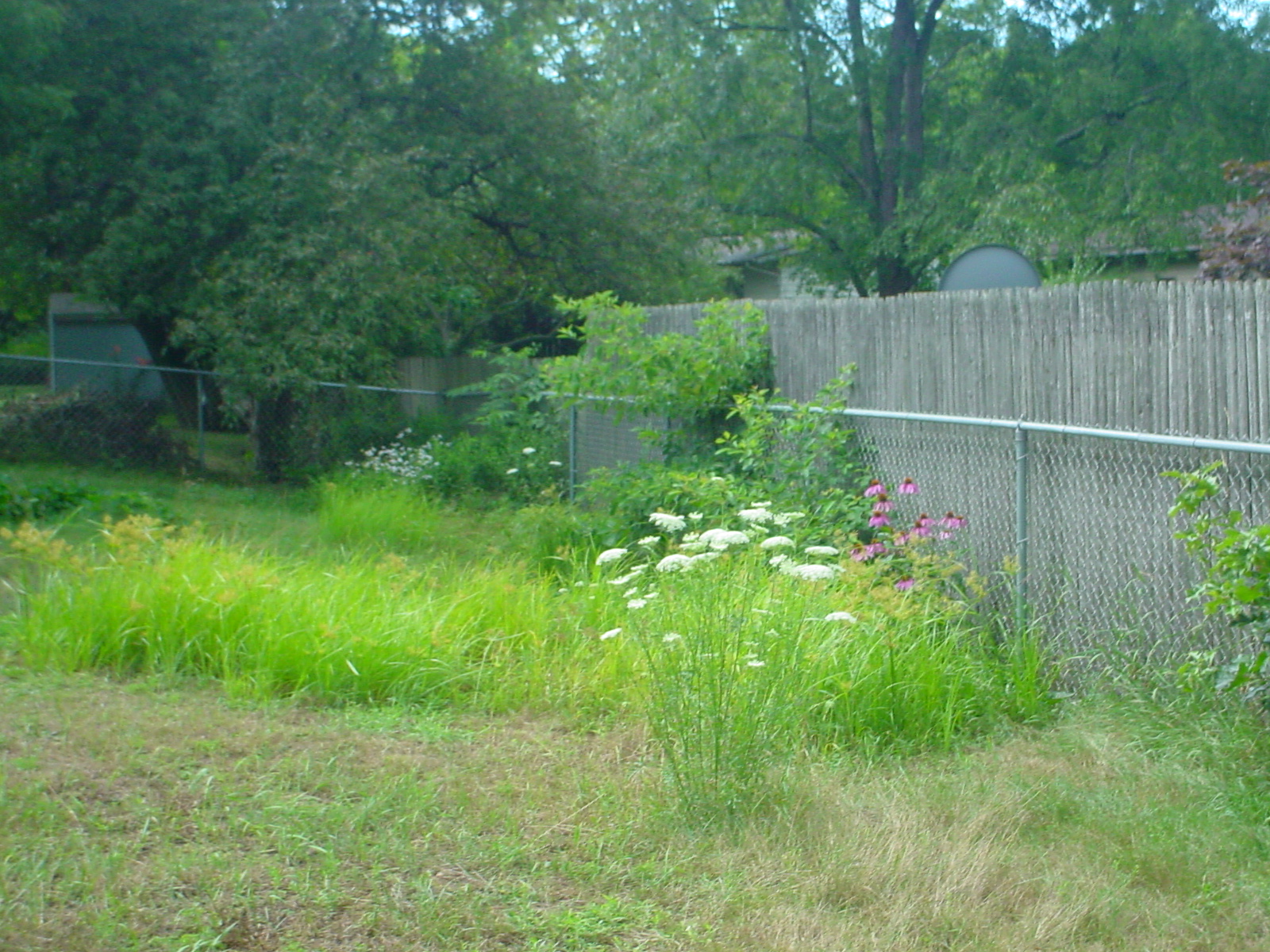 The Fence Line Fence Landscaping Ideas Create Your Backyard Oasis