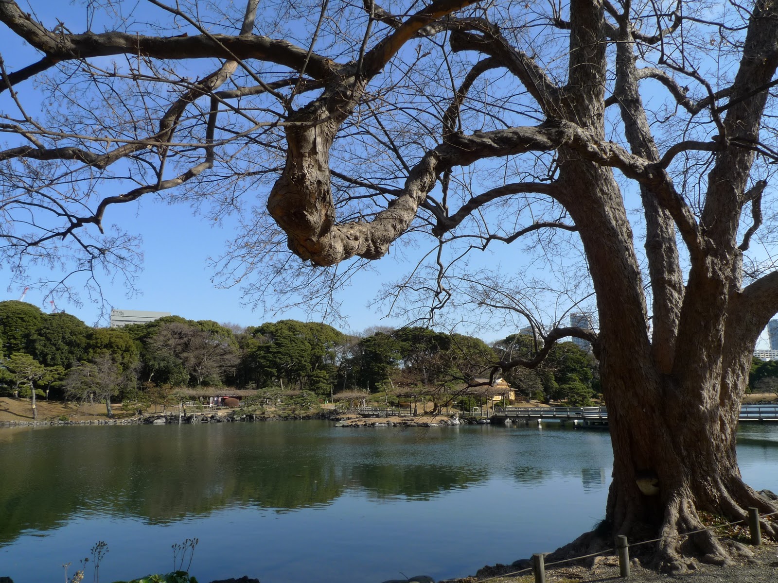 東京 浜離宮恩賜庭園 中島茶屋 Gary的玩物誌 痞客邦
