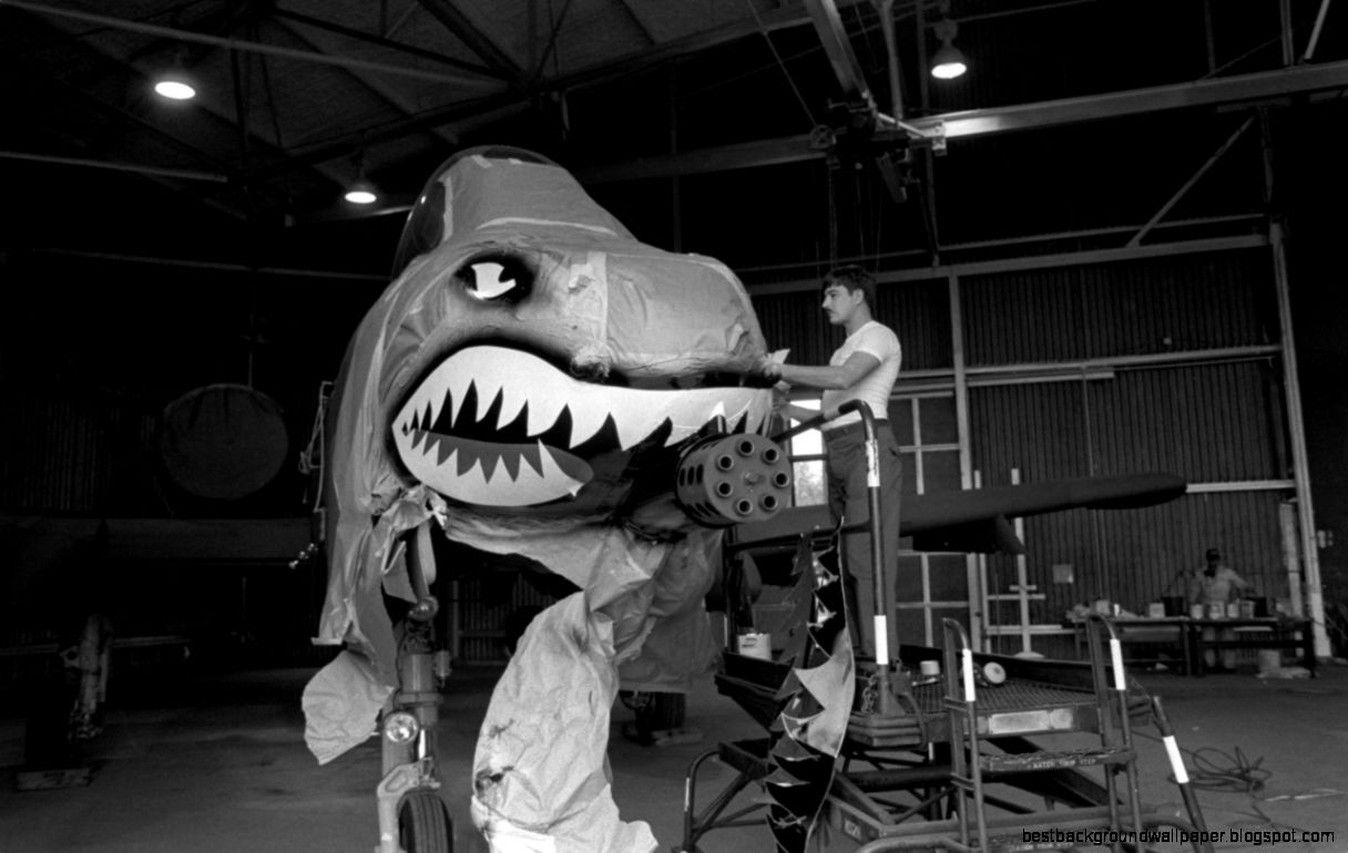 National Archives — This shark gets a beauty treatment on its National Archives — This shark gets a beauty treatment on its