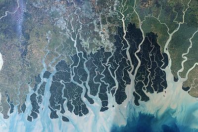 Sundarban in India Khulna Bangladesh