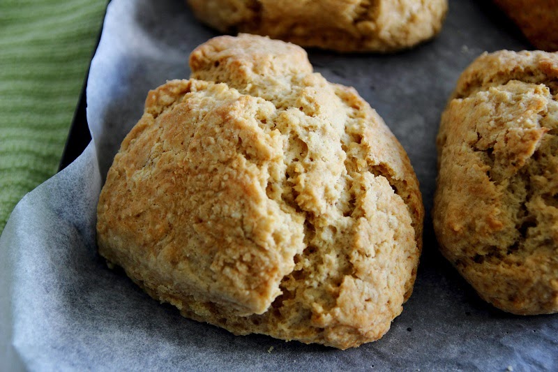 Deb's Dust Bunny Maple and Oat Scones