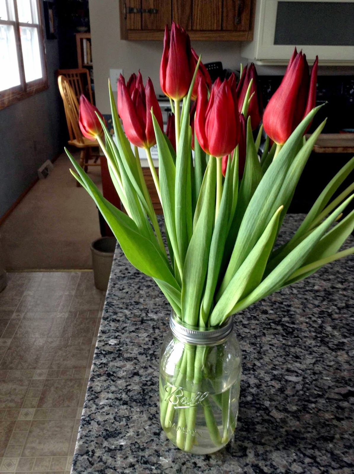 "The Flowers That Bloom In The Spring..." Fresh Simplicity