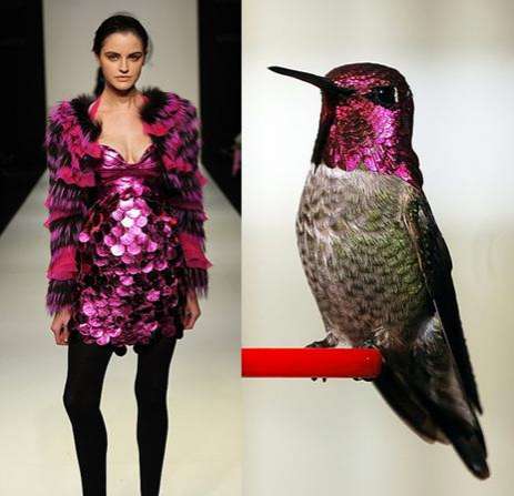 Fashion Designers Inspired By Animals Fashion Designers Inspired By Animals