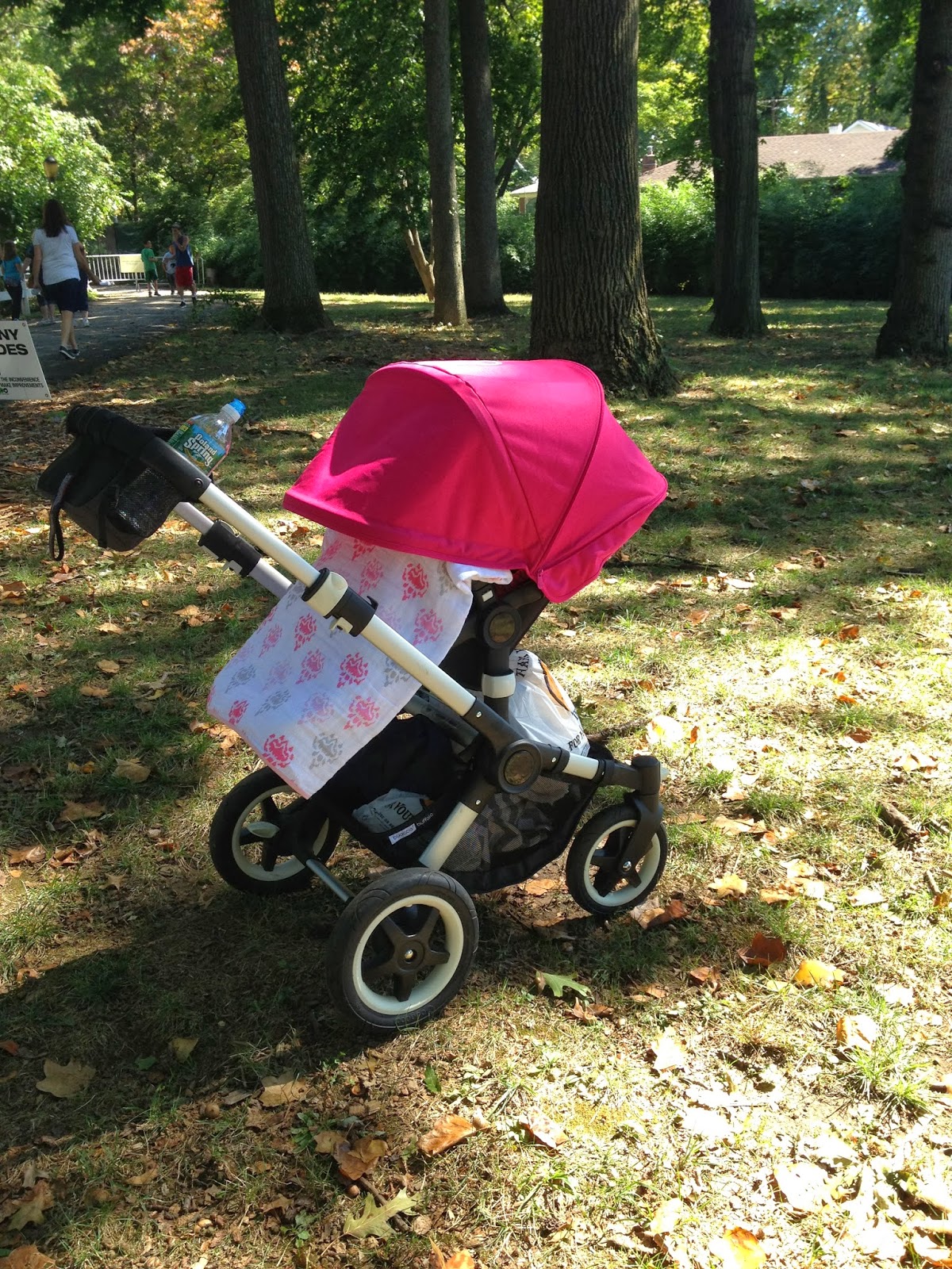 bugaboo buffalo atelier review