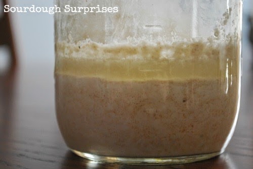 sourdough starter water smells layer sick tips help why blackish