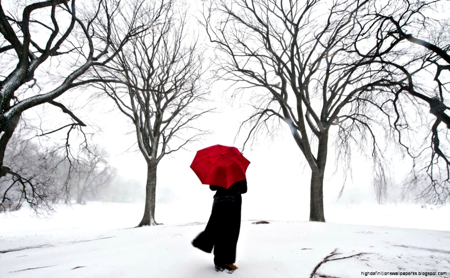 alone love lonely sad alone love lonely sad