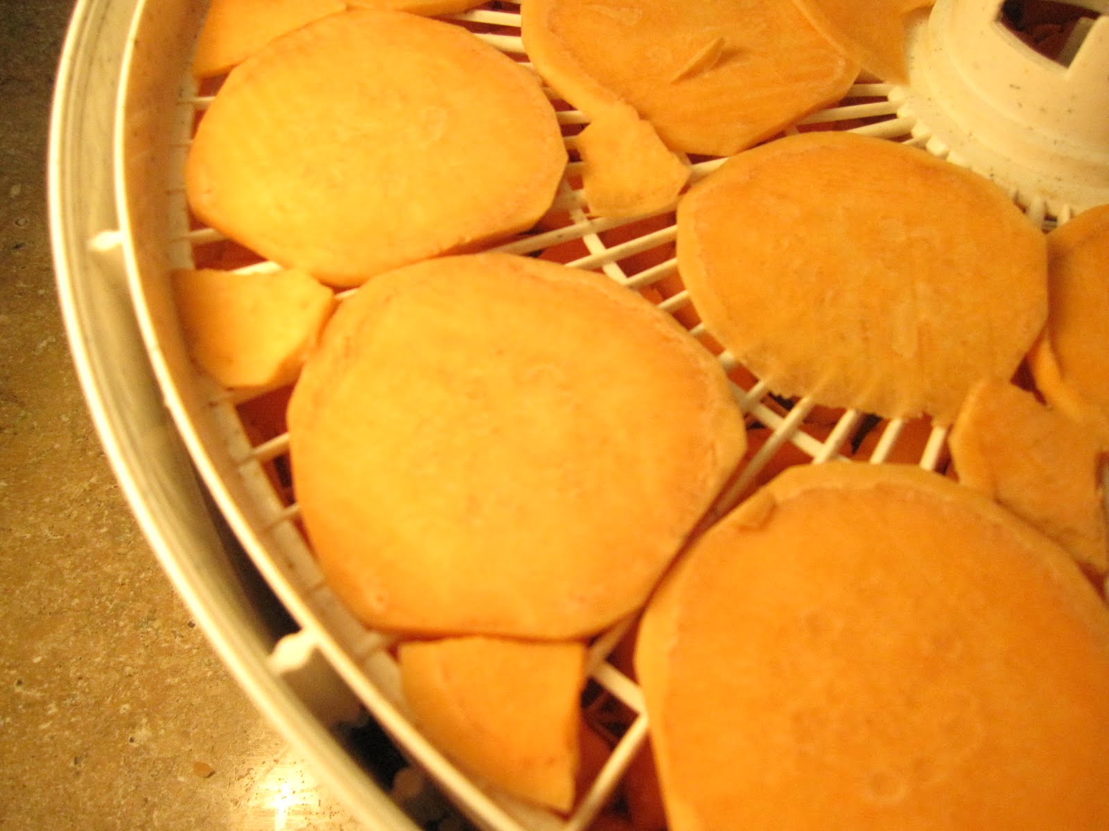 Dehydrating Sweet Potatoes Recipe & Video ( Yes it is one of our videos