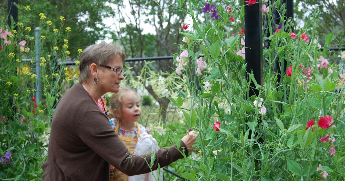 The Conservatory: Tyler Rose Garden