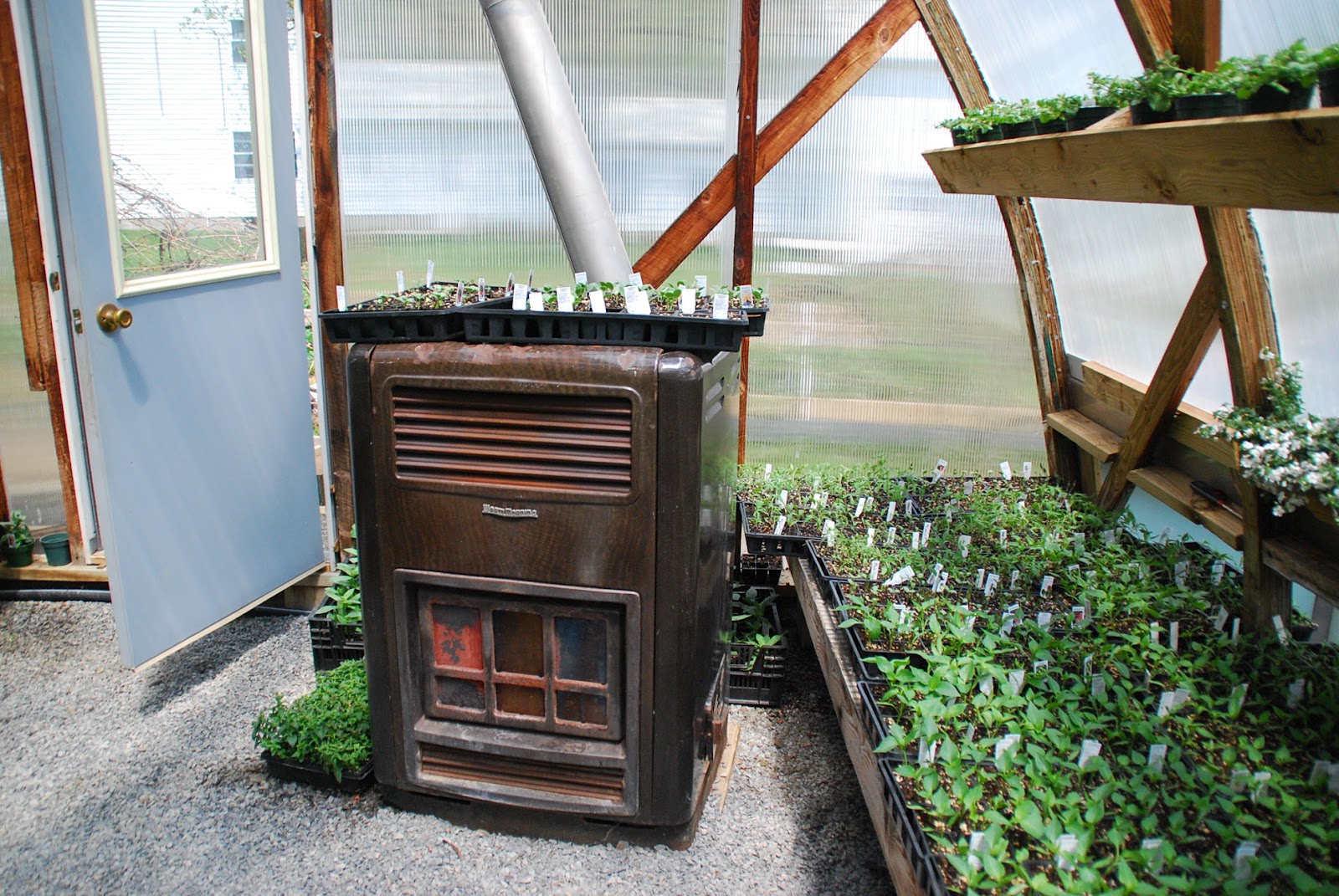 Amish Crossings with Karen Anna Vogel Inside “Katie Bylers” Amish