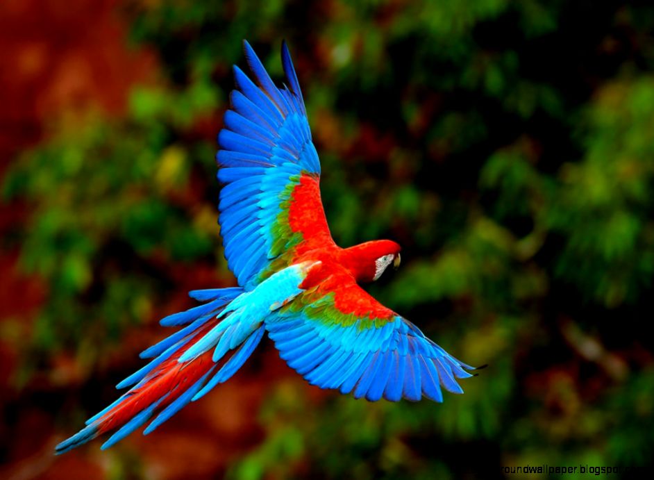 Beautiful Wallpapers Download Best Wallpaper Background Beautiful Wallpapers Download Best Wallpaper Background