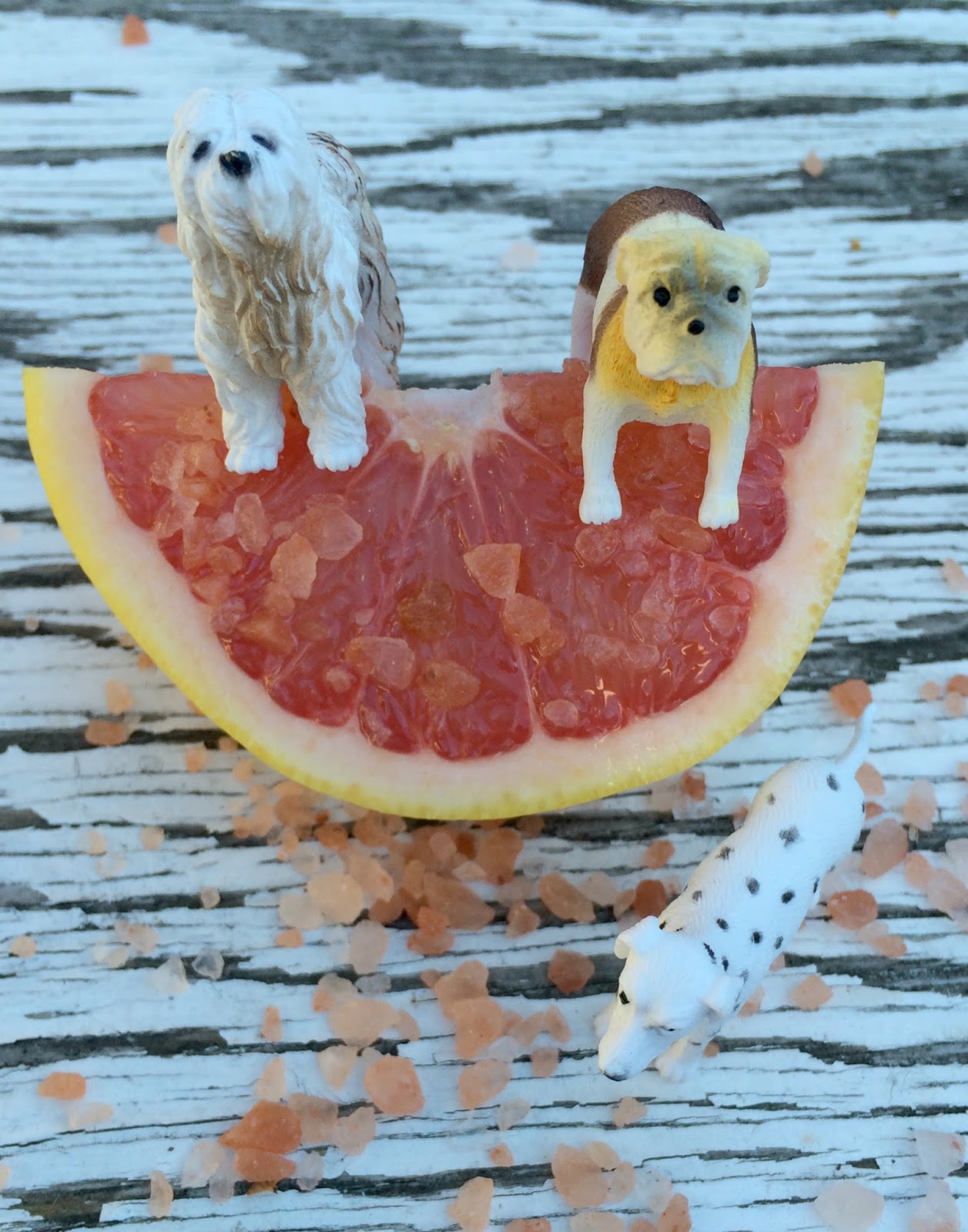 Jac o' lyn Murphy Salty Dogs for the New Year