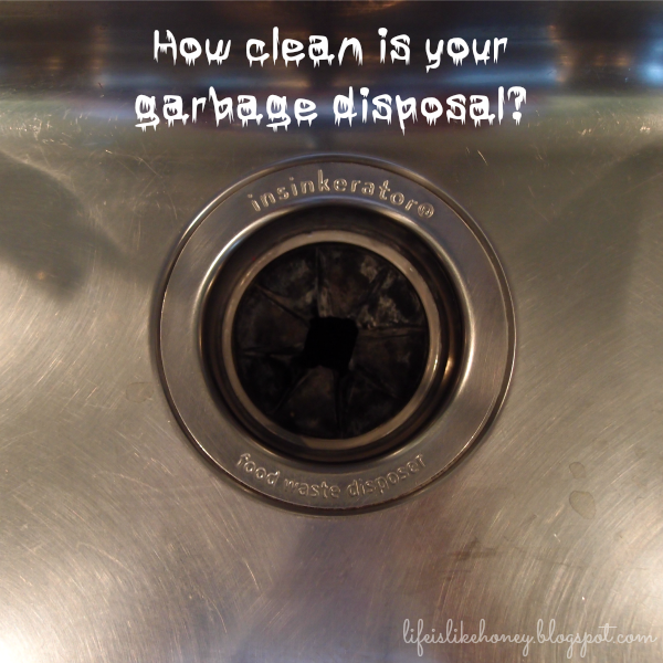 Life is Like Honey How to Clean Your Garbage Disposal