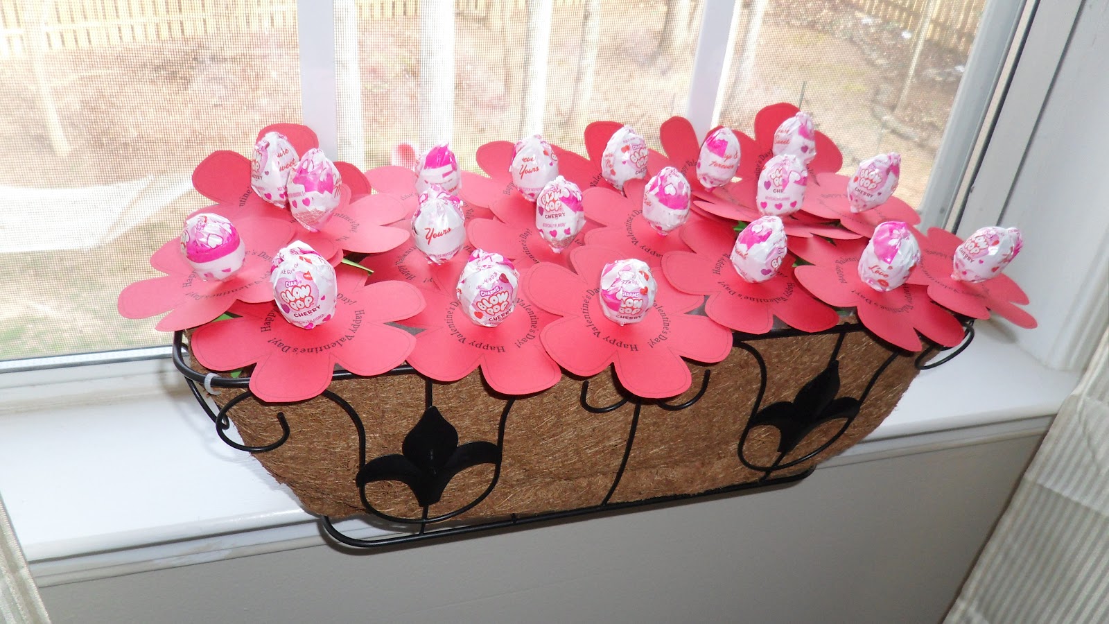 Pink and Peace: A Valentine's Day Window Box Bouquet