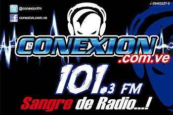 CONEXION 101.3 FM