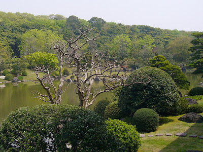 万博記念公園・日本庭園 心字池