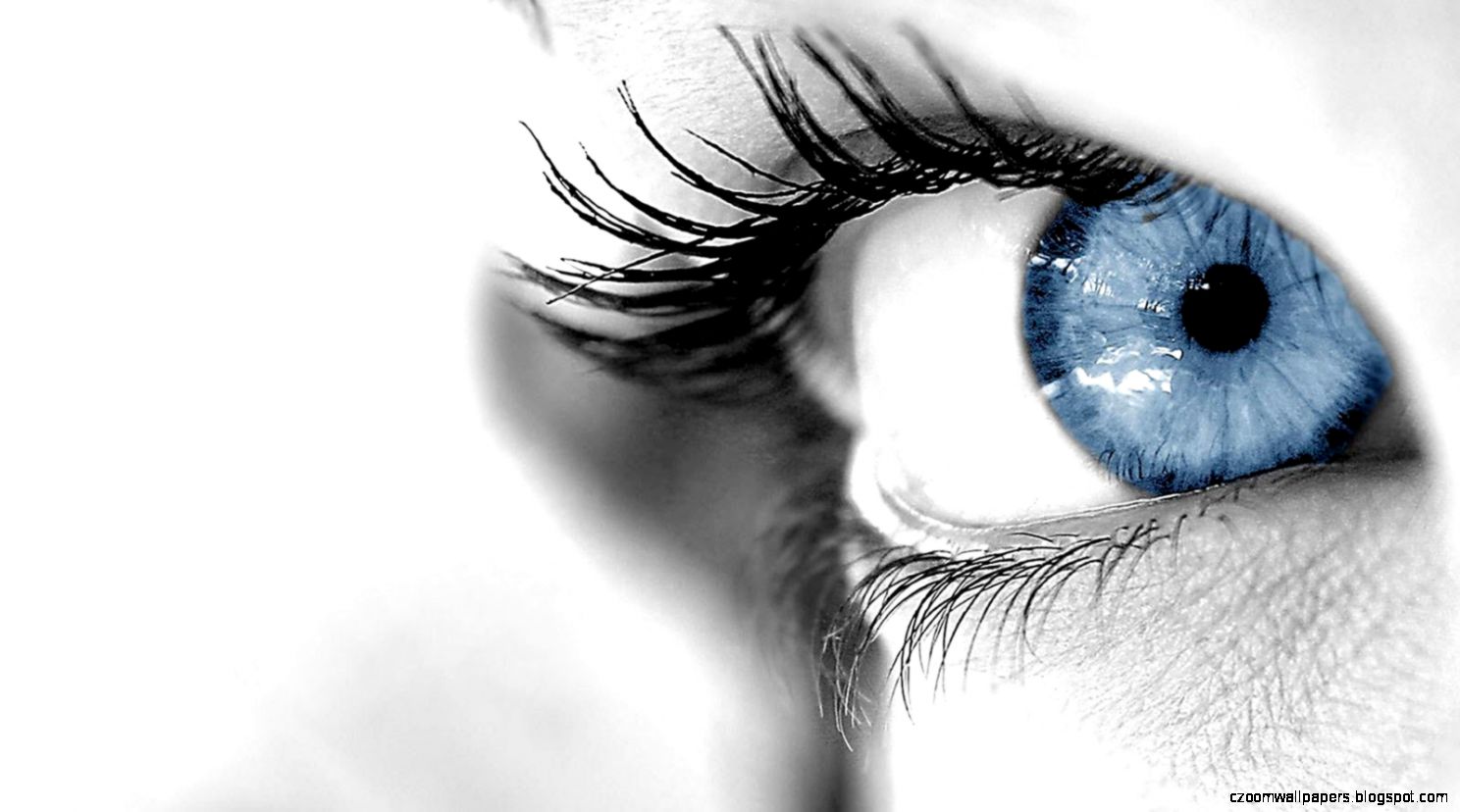 eye wallpaper 16 eye wallpaper 16