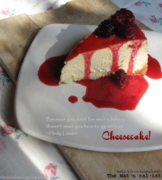 The Nat·u·ral·ist Cheesecake From Scratch