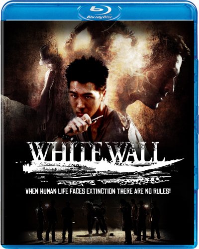 White Wall (2010) BRRip 600MB
