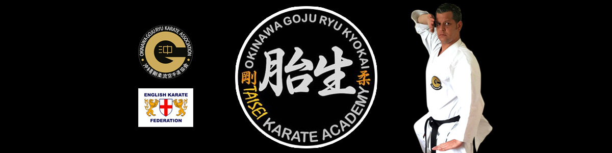 Langley Taisei Karate Academy