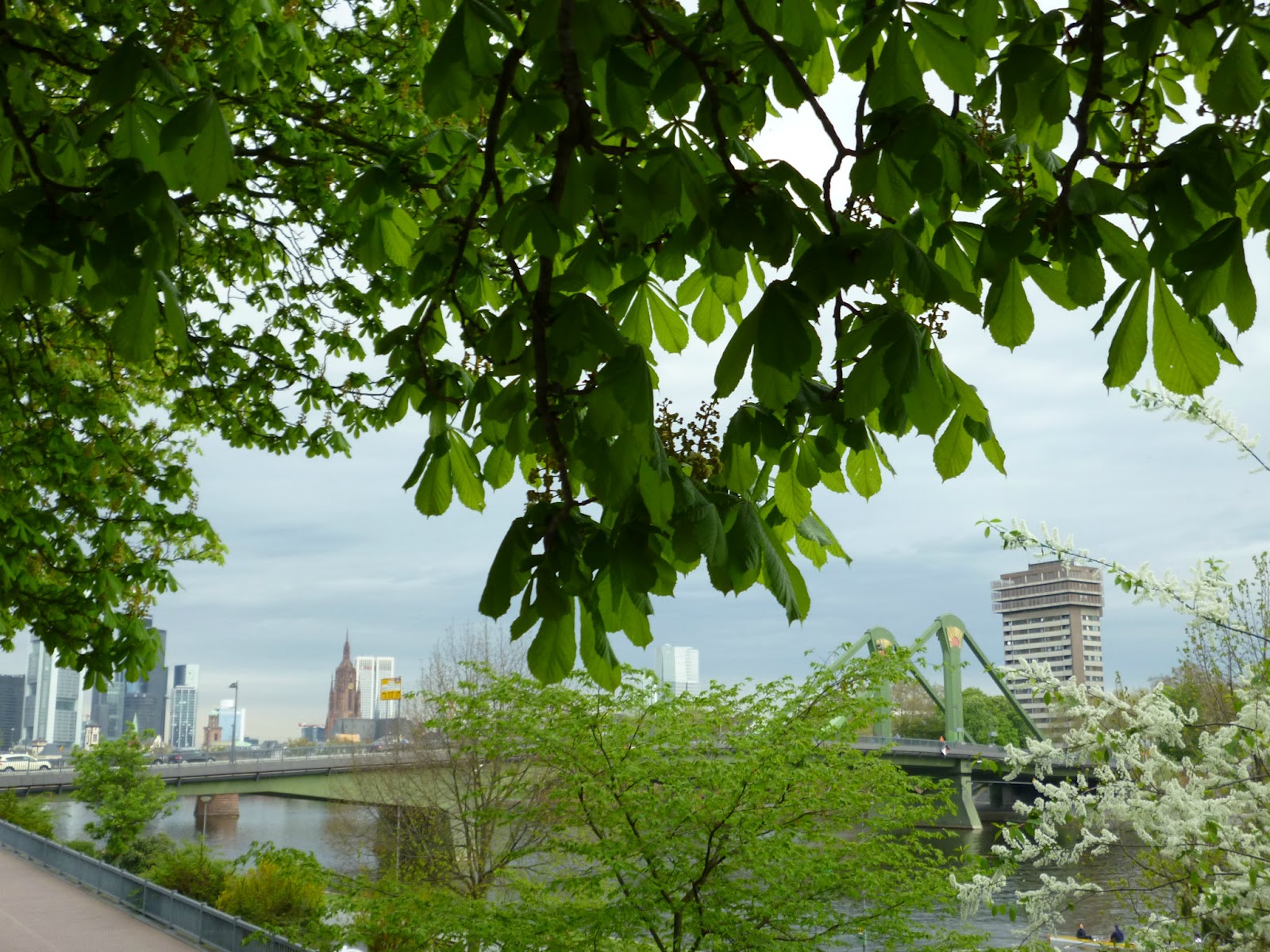 sharingcardsandinspirations: Summer cards, good news and GIVEAWAY